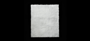 NUOJIJI Polyester Fiber Floc