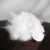 0.9DX25S Micro Solid/Hollow Virgin Polyester staple Fiber